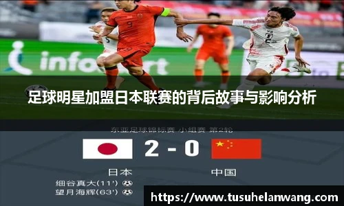 智博19有限公司